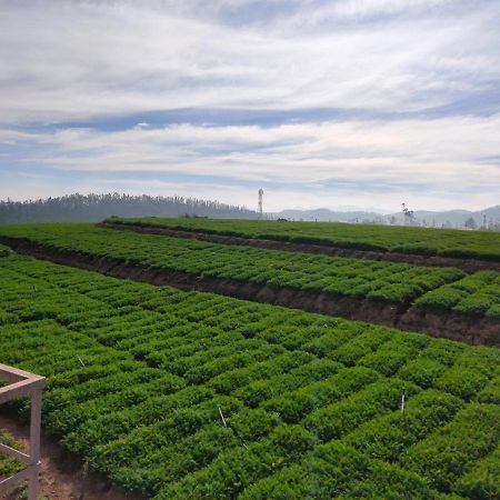 Brown Tree Resorts 乌提 外观 照片